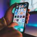 Dhe haivan 1199533 unsplash